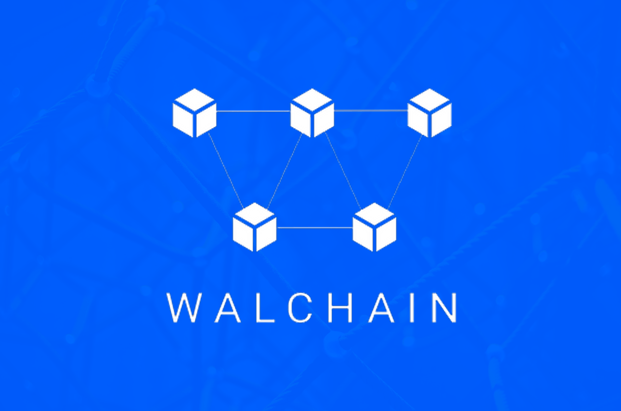 Walchain logo